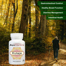 Comprimé Kutaja (Holarrhena Antidysenterica)