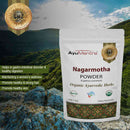 AyuMantra Nagarmotha Powder benefits packaged, with the mountainous background