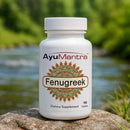AyuMantra Fenugreek dietary supplement bottle on a rock with a natural background.