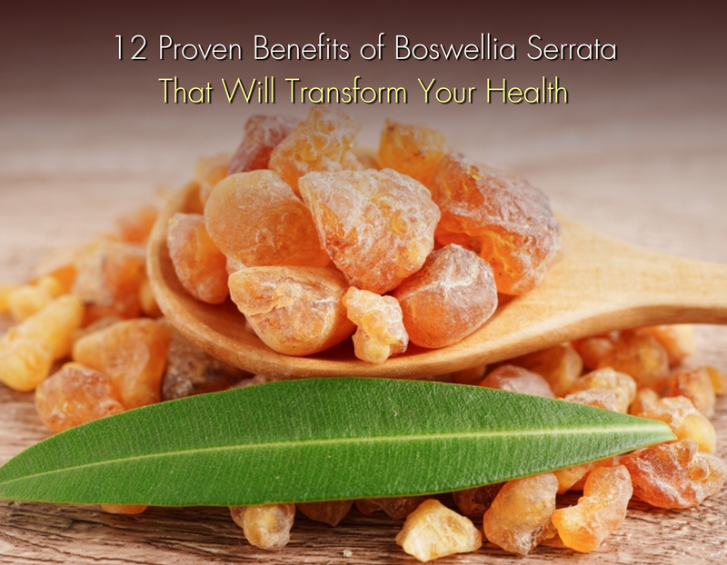  health benefits of rosemary serratia, promoting wellness and transformation.