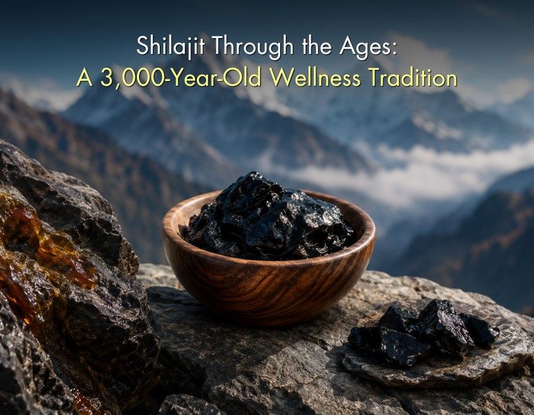 Shilajit Through the Ages: a 3,000-year-old Ayurvedic wellness tradition from the Himalayas.