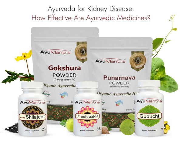 Ayumantra's Ayurvedic Medicines for Canada and USA 