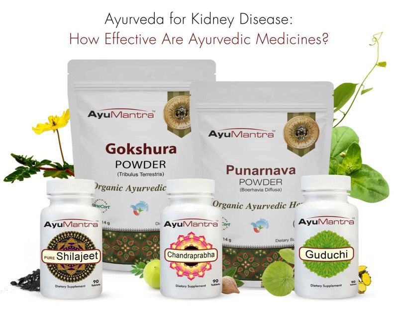 Ayumantra's Ayurvedic Medicines for Canada and USA 