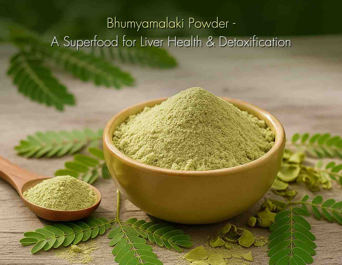 Herbal decoction made from Bhumyamalaki leaves, used to promote liver regeneration and immunity.