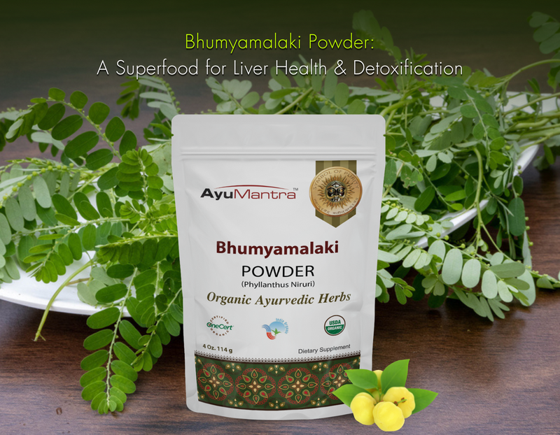 A packet of Bhumyamalaki powder, labeled Organic Ayurvedic Herbs, is in the foreground with vibrant green leaves and amla.