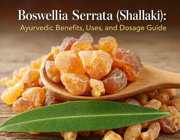 Boswellia Serrata (Shallaki)