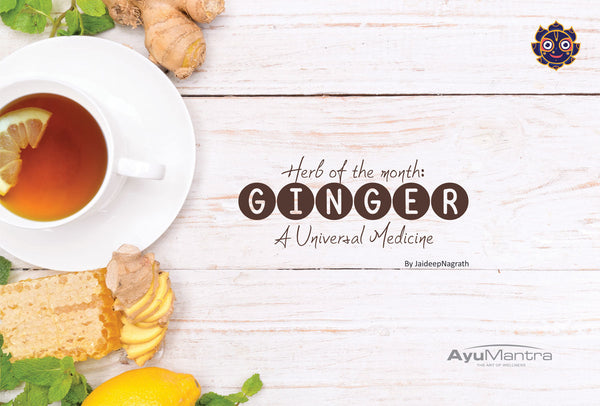 The Herb Of The Month Ginger - The Universal Medicine