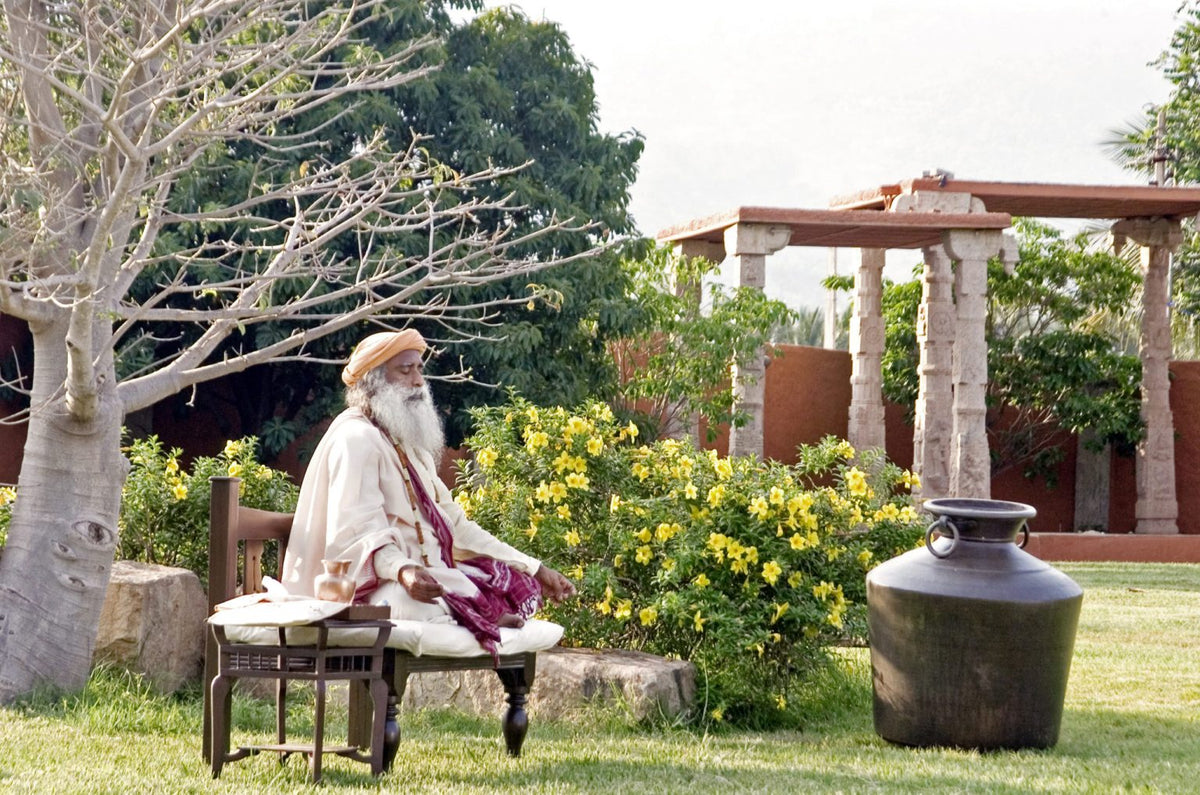 Sadhguru explains Runanubandha, the physical memory passed down genetically.