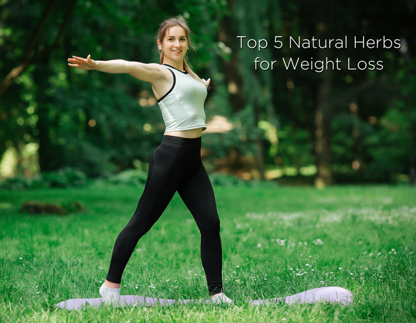 Top 5 Natural Herbs for Weight Loss