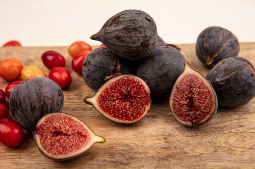 Anjeer / Common Fig (Ficus Carica)