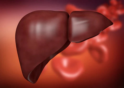 Fatty Liver