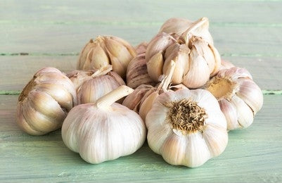 Rasona, Garlic (Allium Sativum)