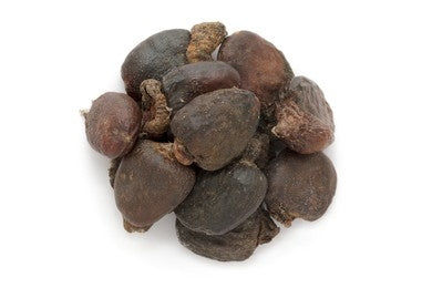 Bhallataka, Marking Nut (Semecarpus anacardium)