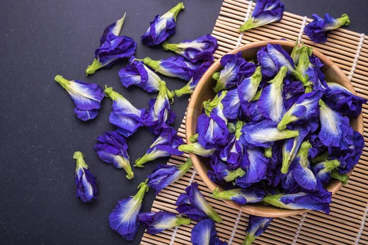 Aparajita, Shankupushpam, Butterfly pea (Clitoria Ternatea)