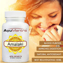 Amalaki Tablets  (Phyllanthus emblica) - 90 Tablets