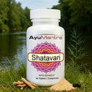Shatavari-Tabletten (Asparagus racemosus) – 90 Tabletten