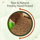 Ajwain/Carom Seeds (Whole) - 227gm