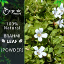 Brahmi Leaf (Bacopa monnieri) Powder - 227gm