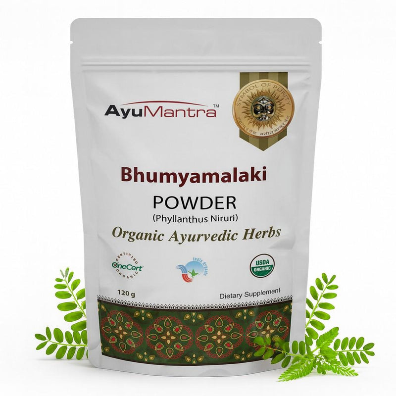 Poudre de Bhumyamalaki (Phyllanthus niruri)
