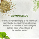 Cumin Seeds (Cuminum cyminum) Whole - 227gm