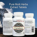 Comprimés Cérébex