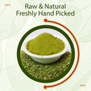 Fennel Seed (Foeniculum vulgare) Powder - 227gm