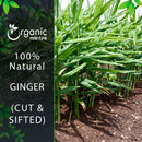 Ginger (Zingiber officinale Roscoe) Cut & Sifted - 227gm
