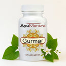 Gurmar Tablet (Gymnema sylvestre) - 90 Tablets