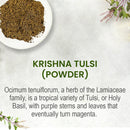 Krishna Tulsi (Ocimum tenuiflorum) Powder - 227gm