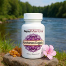 AyuMantra Kanchanara Guggulu supplement bottle with flowers and树脂 on a rock by a lake.