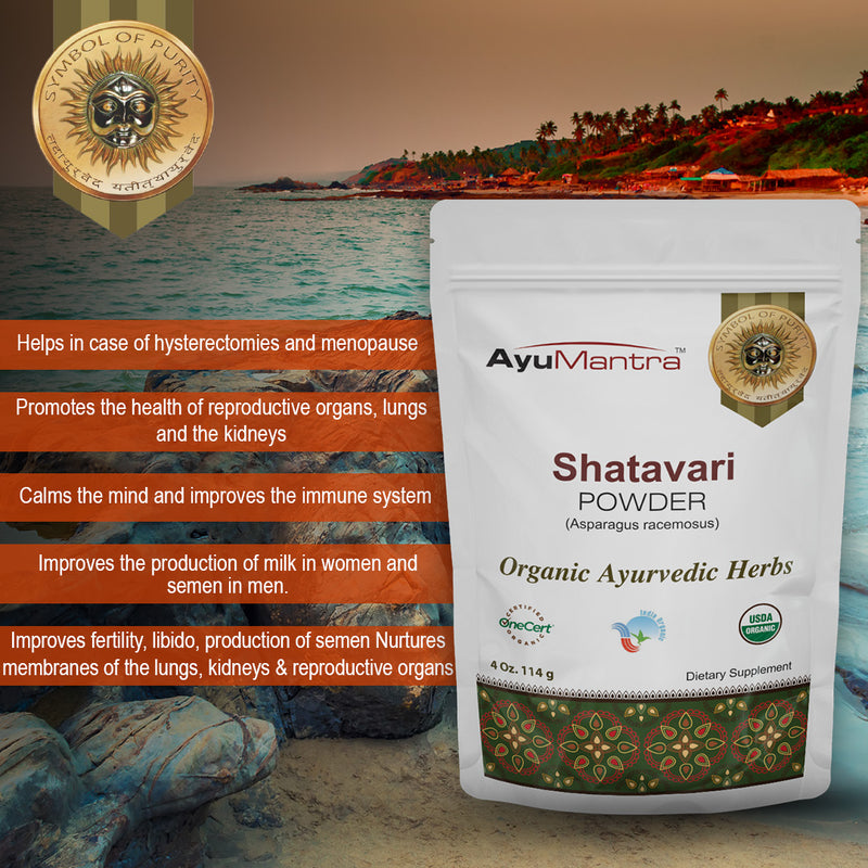 Shatavari Powder (Asparagus Racemosus)