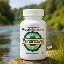 Punarnava Tablets(Boerhavia diffusa)