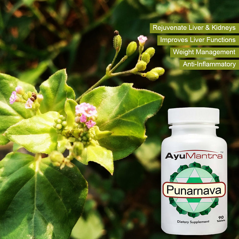 Punarnava Tablets - (Boerhavia diffusa)