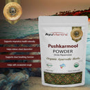 Poudre de Pushkarmool (Inula racemosa)