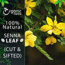 Senna Leaf (Senna alexandrina) Cut & Sifted - 227gm