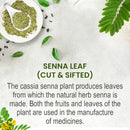 Senna Leaf (Senna alexandrina) Cut & Sifted - 227gm