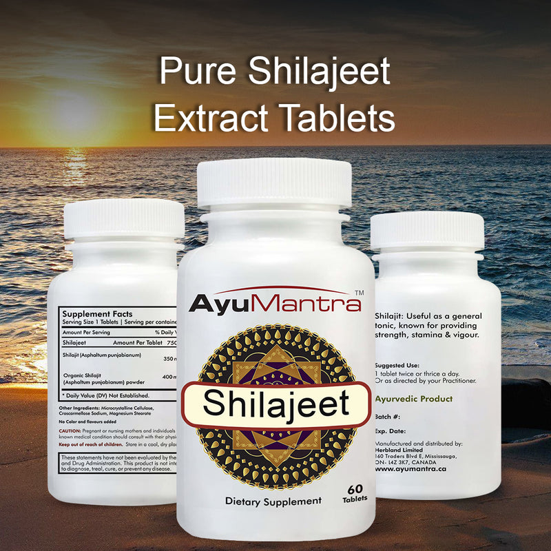 Shilajeet Tablets - (Asphaltum)