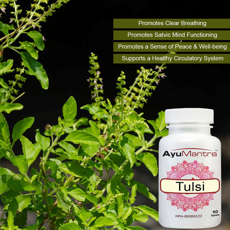Tulsi / Holy Basil Tablets (Ocimum sanctum)