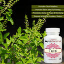 Tulsi / Holy Basil Tablets (Ocimum sanctum) - 90 Tablets