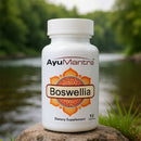 AyuMantra Boswellia dietary supplement bottle on a rock with a natural background.