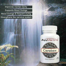 Ayumantra Cerebex tablets bottle near waterfall with text highlighting mental clarity, mood and nervous system support.