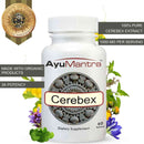 Ayumantra Cerebex tablets bottle with purity badge and surrounding herbs promoting organic multi herb brain formula.