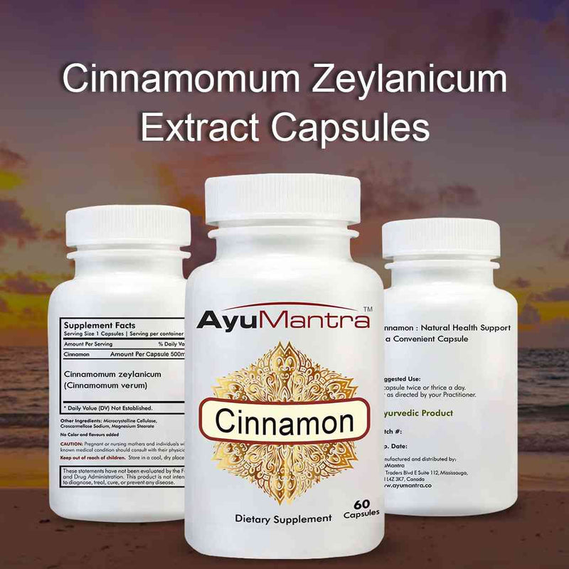 Three AyuMantra cinnamon capsules bottles with Cinnamomum zeylanicum extract text by the ocean.