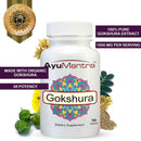 AyuMantra Gokshura dietary supplement bottle with decorative elements on a white background.