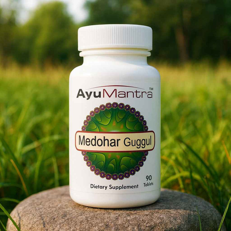 AyuMantra Medohar Guggul dietary supplement bottle on a rock with a natural background