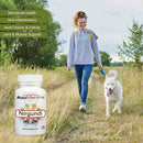 Woman walking a dog with an AyuMantra Nir Gundadi supplement bottle in the foreground.
