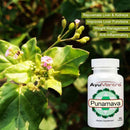 AyuMantra Punarnava supplement bottle with green leaves and flowers in the background