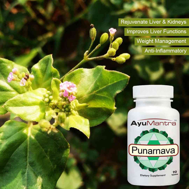 AyuMantra Punarnava supplement bottle with green leaves and flowers in the background