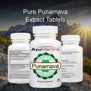 AyuMantra Punarnava dietary supplement bottles with a mountainous background