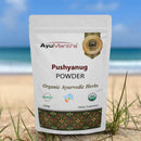 AyuMantra Pushyanug Powder packaging on a beach background